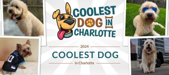 2nd Annual Kiwanis Club “Coolest Dog in Charlotte” Contest
Underway