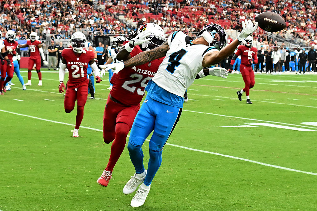 Carolina Panthers v Arizona Cardinals